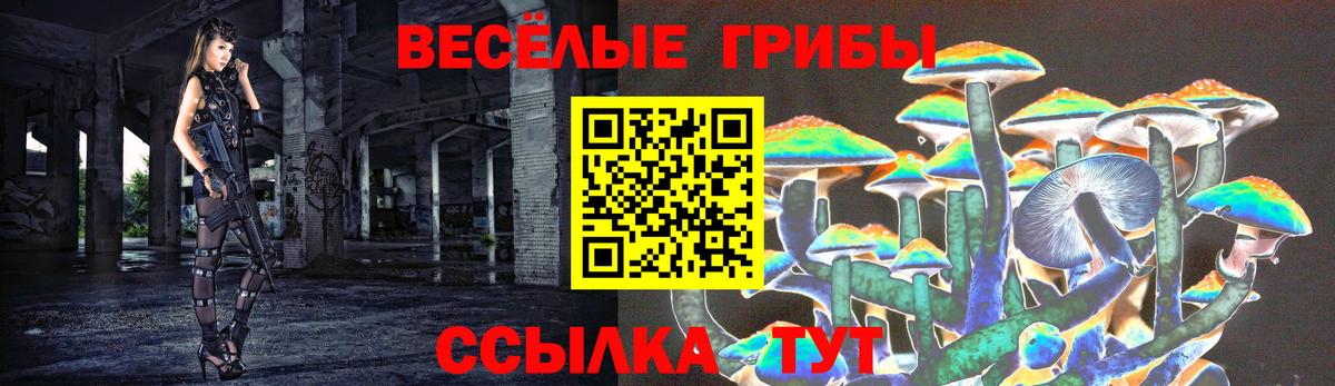 Псилоцибиновые грибы мицелий Гулькевичи